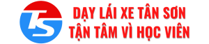 LOGO-WEB-DAYLAIXETANSON